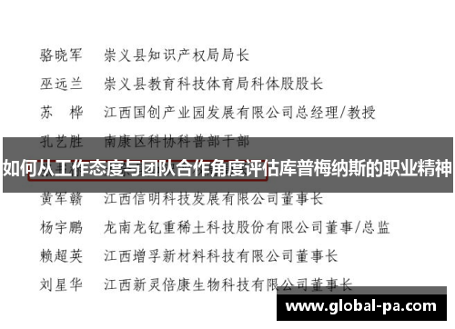 如何从工作态度与团队合作角度评估库普梅纳斯的职业精神