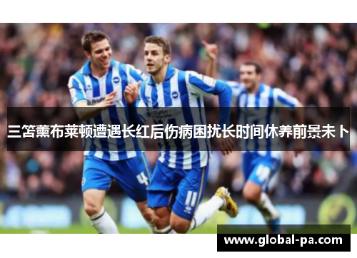 三笘薰布莱顿遭遇长红后伤病困扰长时间休养前景未卜