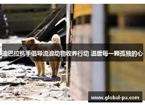 迪巴拉携手倡导流浪动物收养行动 温暖每一颗孤独的心